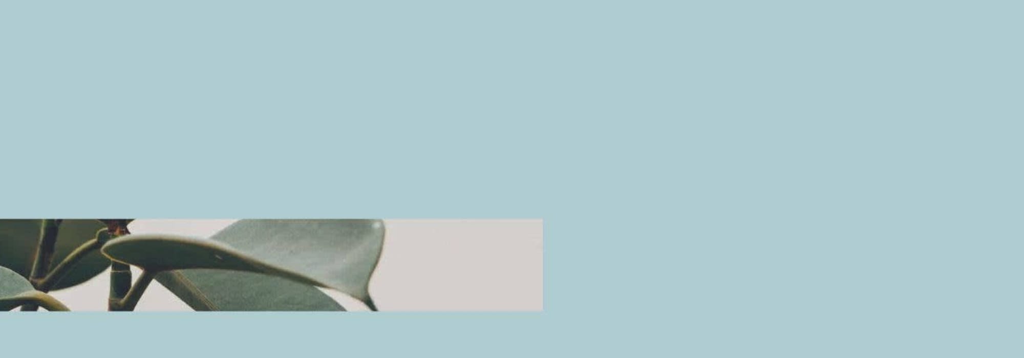 HELCOR Bienes Raíces