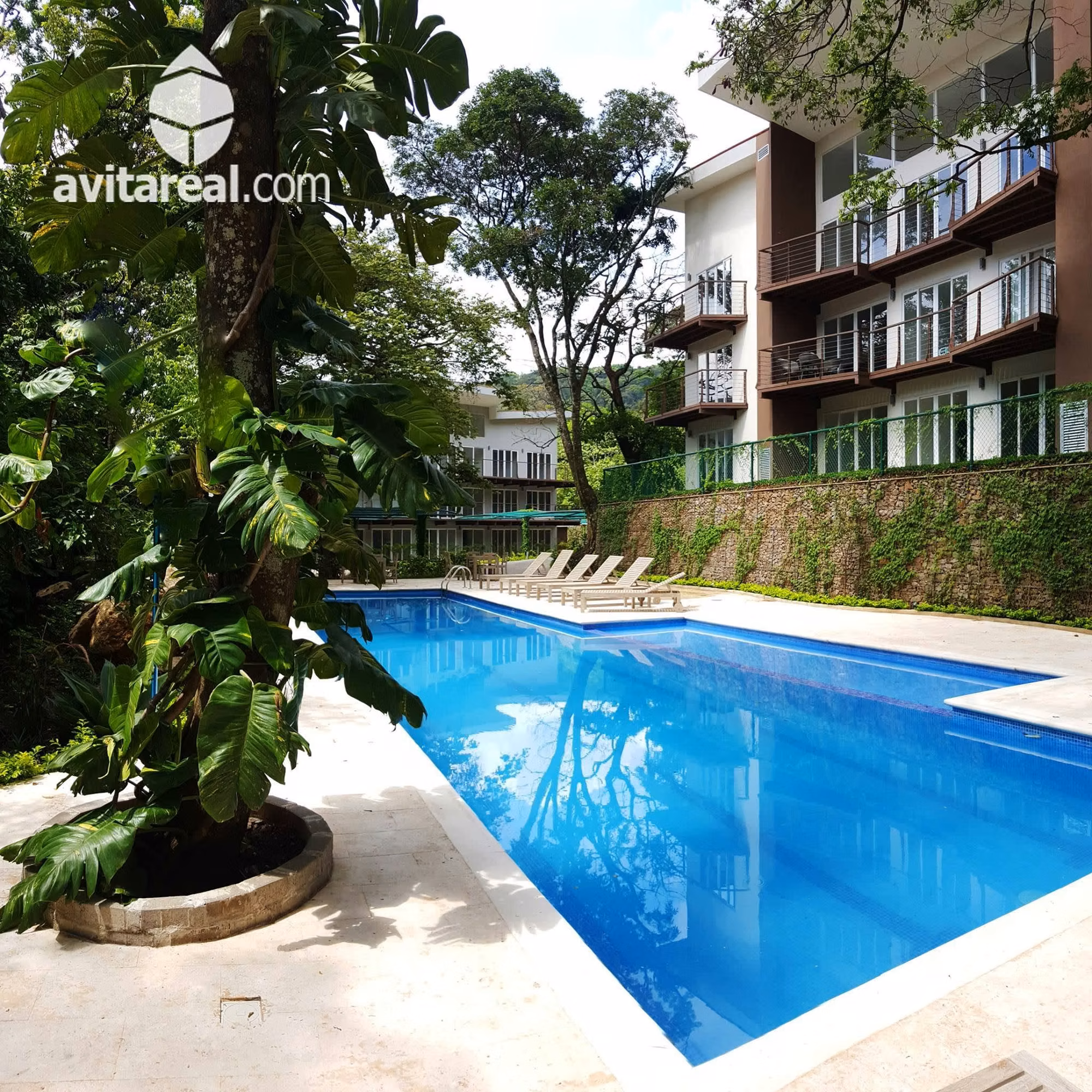 avitareal.com