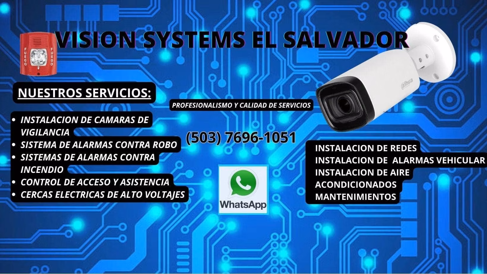 Servicios de Seguridad Electronica