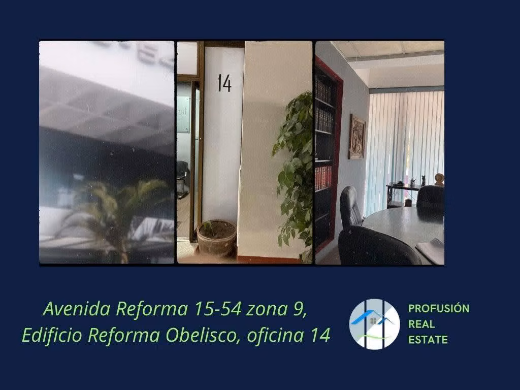 Profusión Real Estate, S.A.