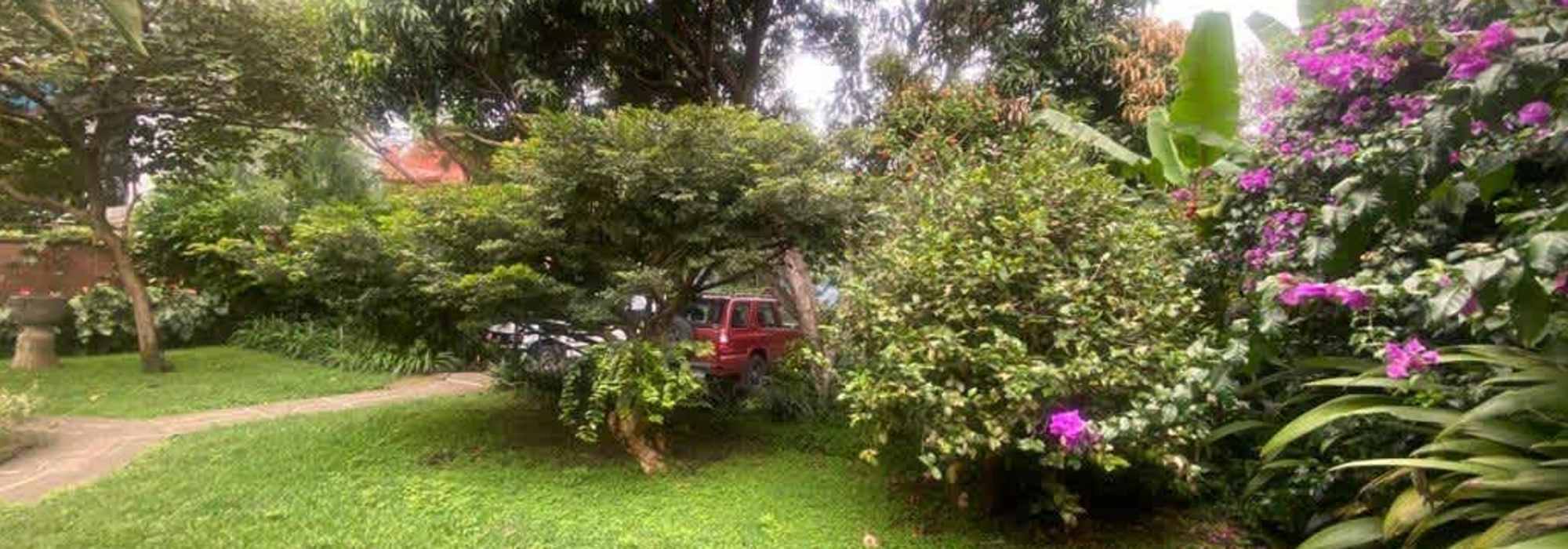 CR Real Estate Group