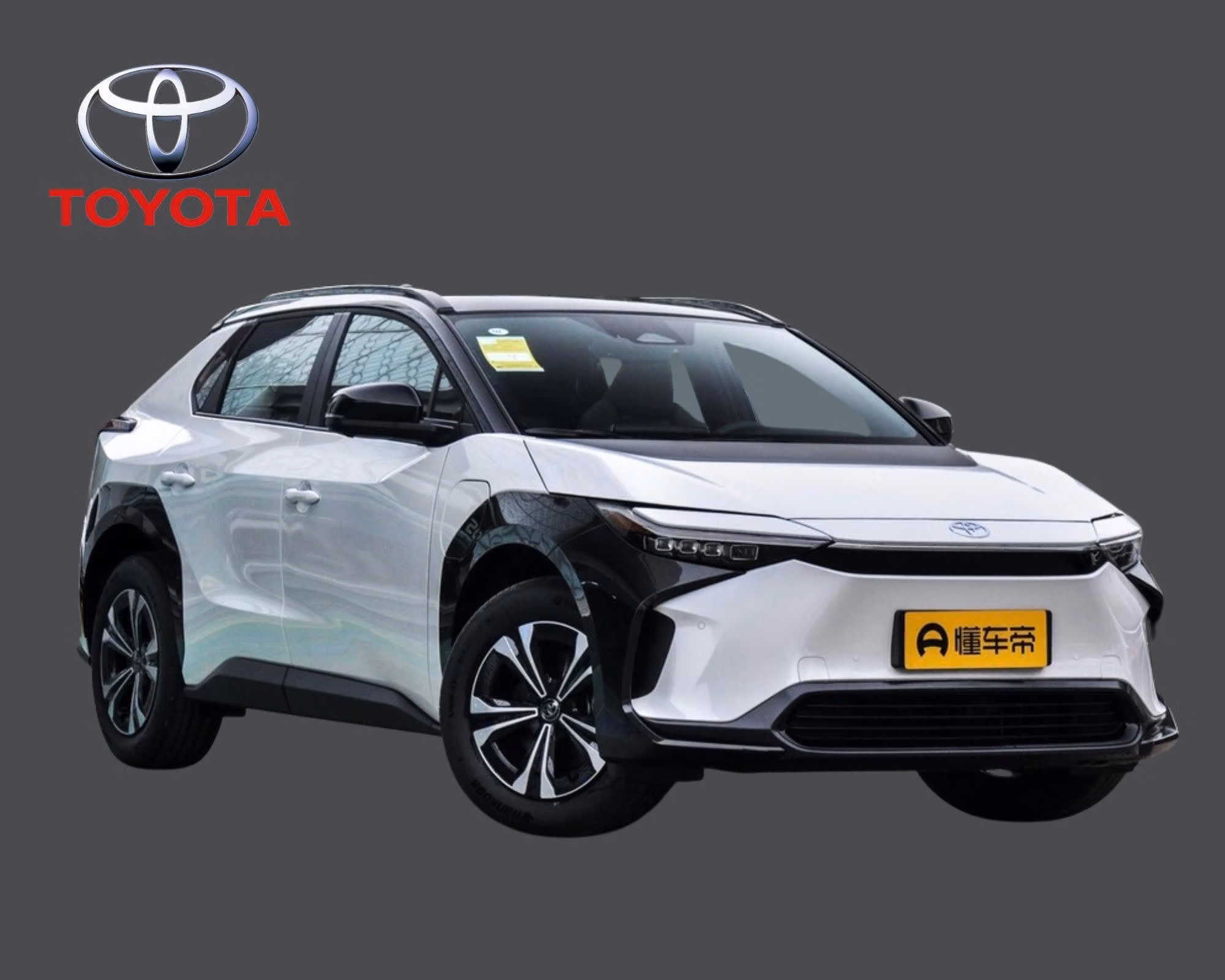 www.ecarsconnect.com