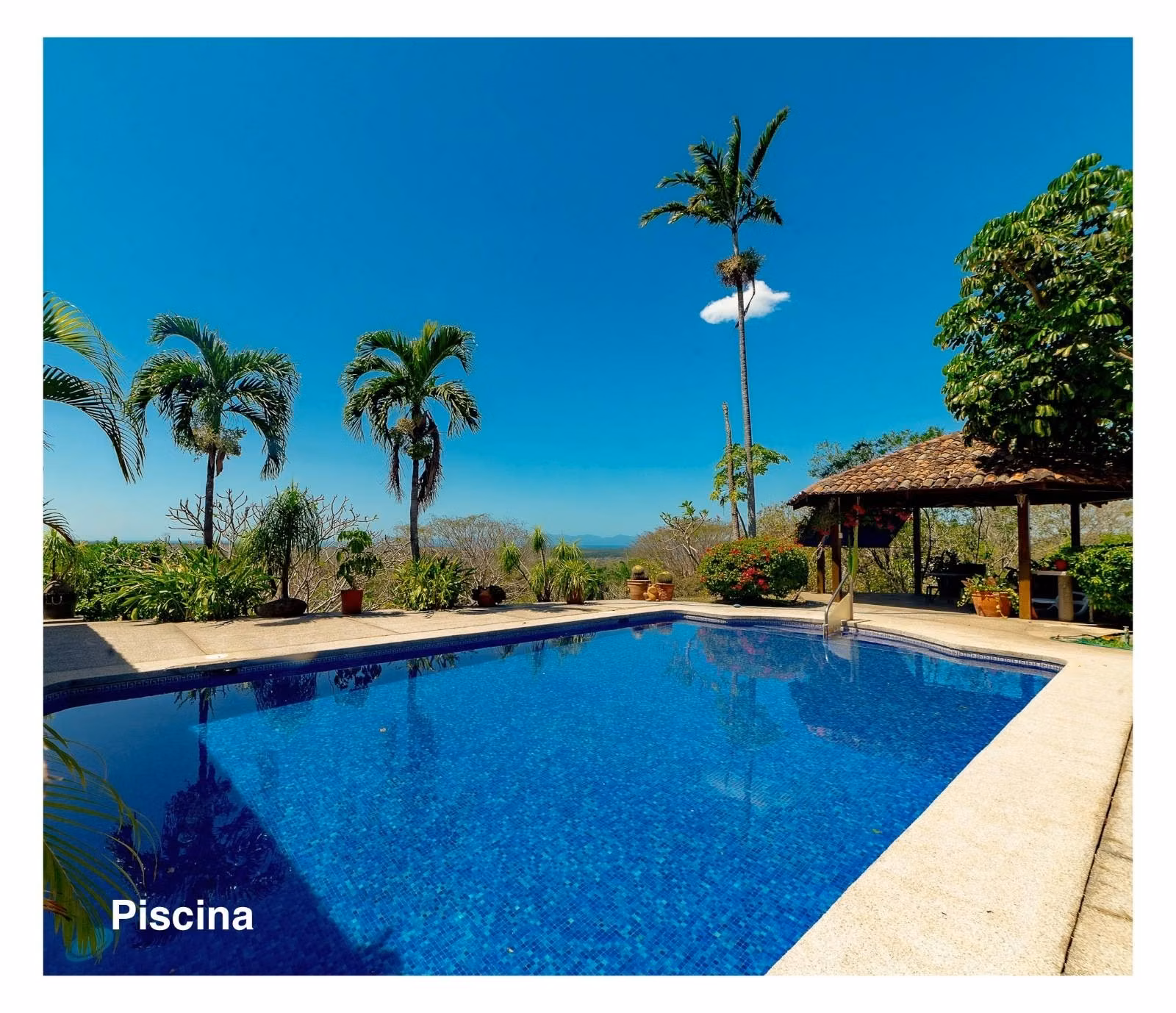 ACCIÓN INMOBILIARIA