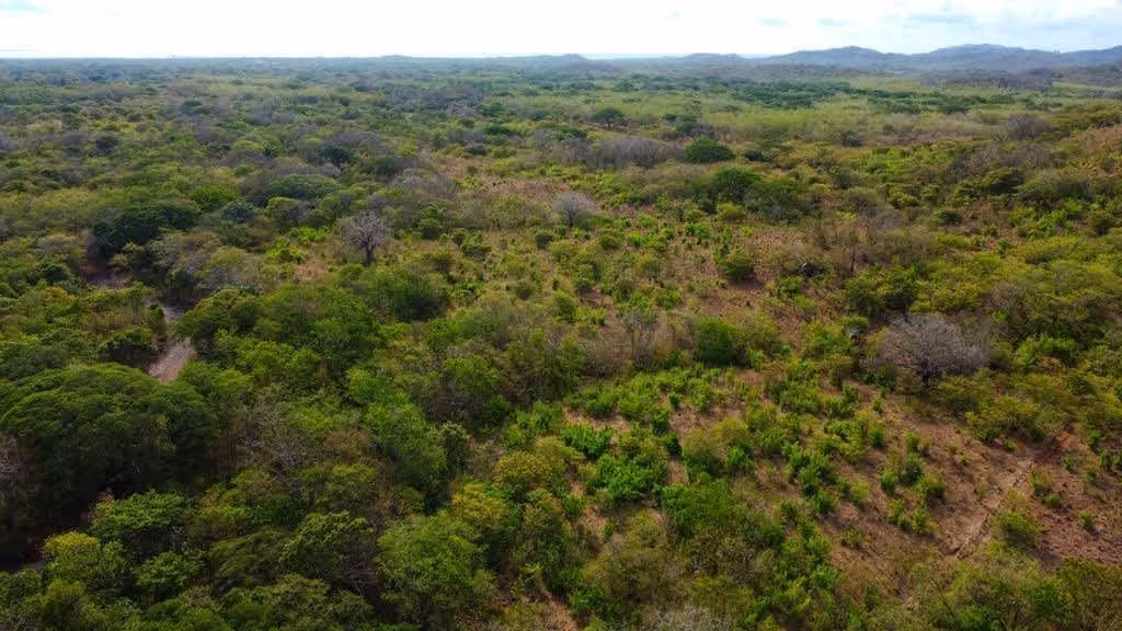 Top Real Estate Deals in Costa Rica