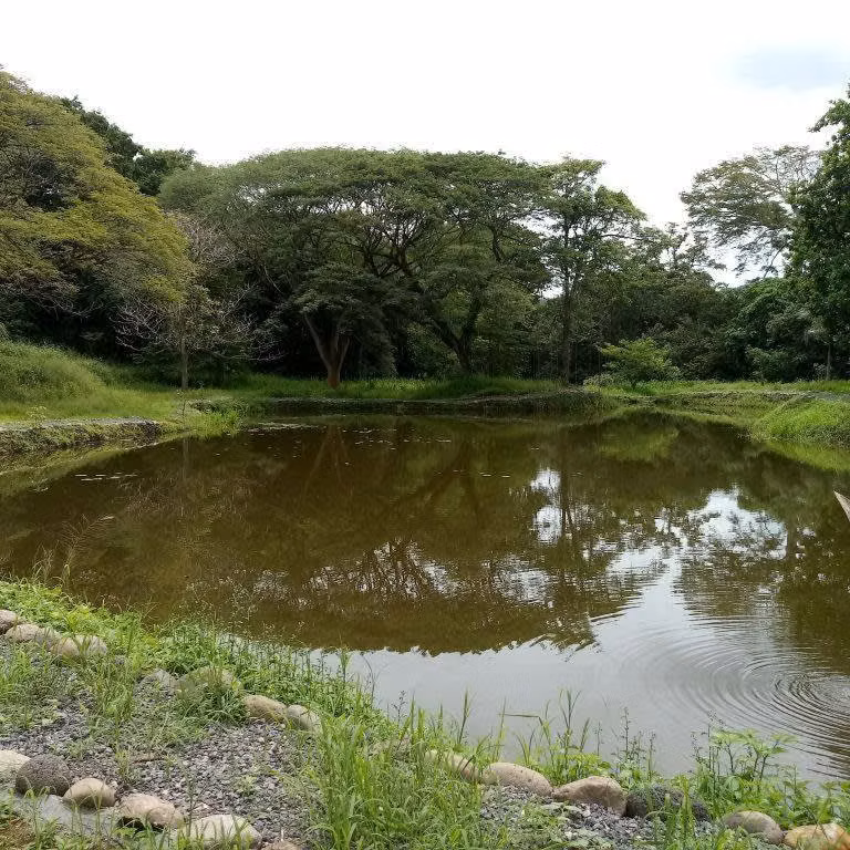 Las Vistas de Costa Rica