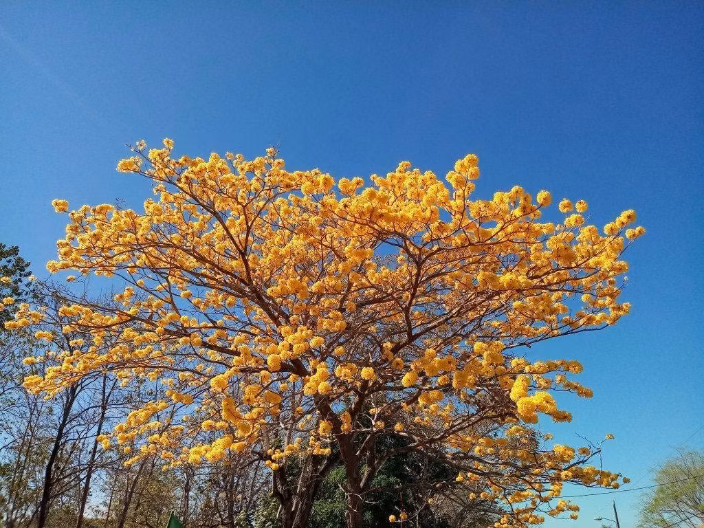 Las Vistas de Costa Rica