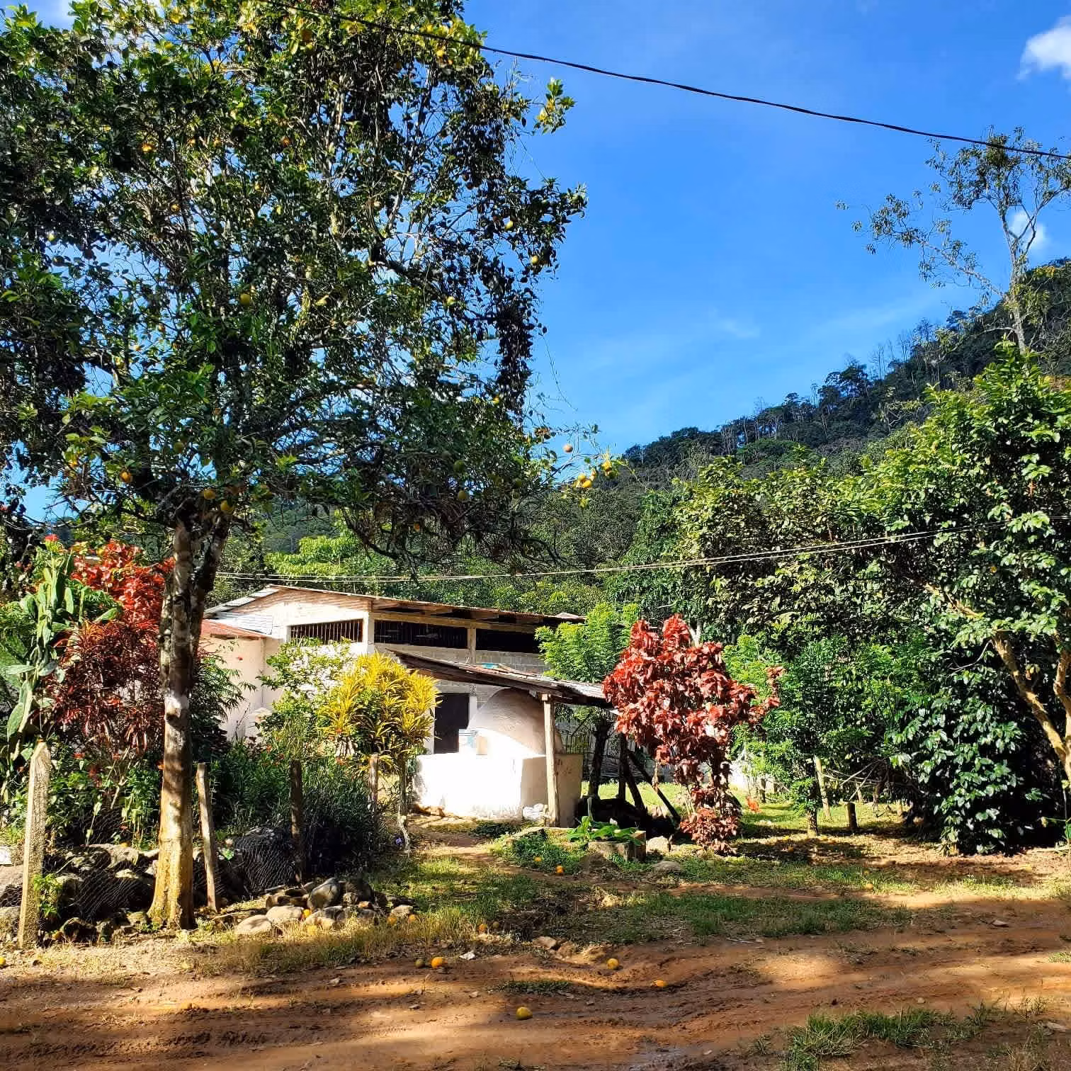 Angie Wilchez Agente inmobiliria