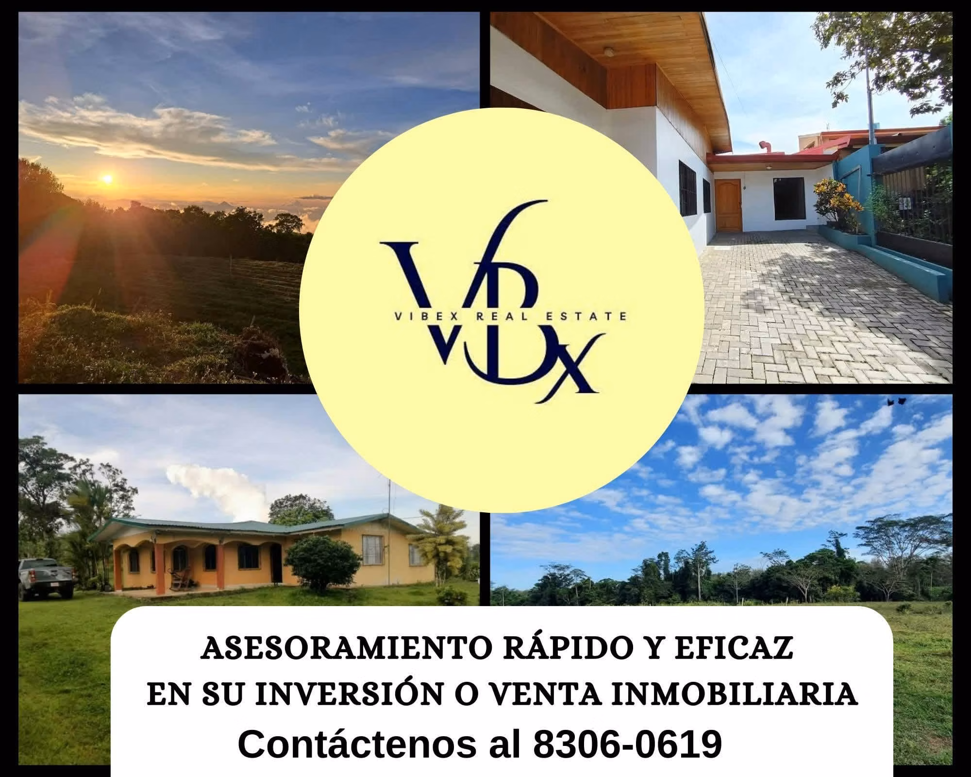 Grupo Vibex