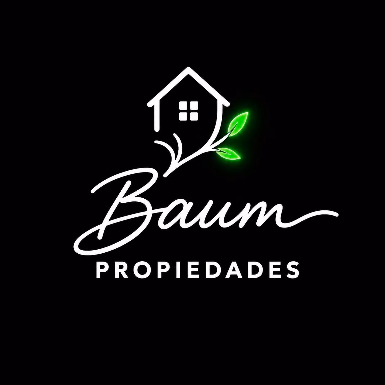 Baum Propiedades