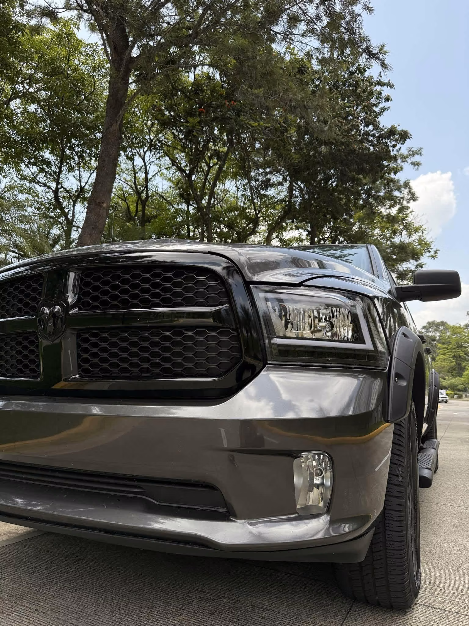 Alliance Motors