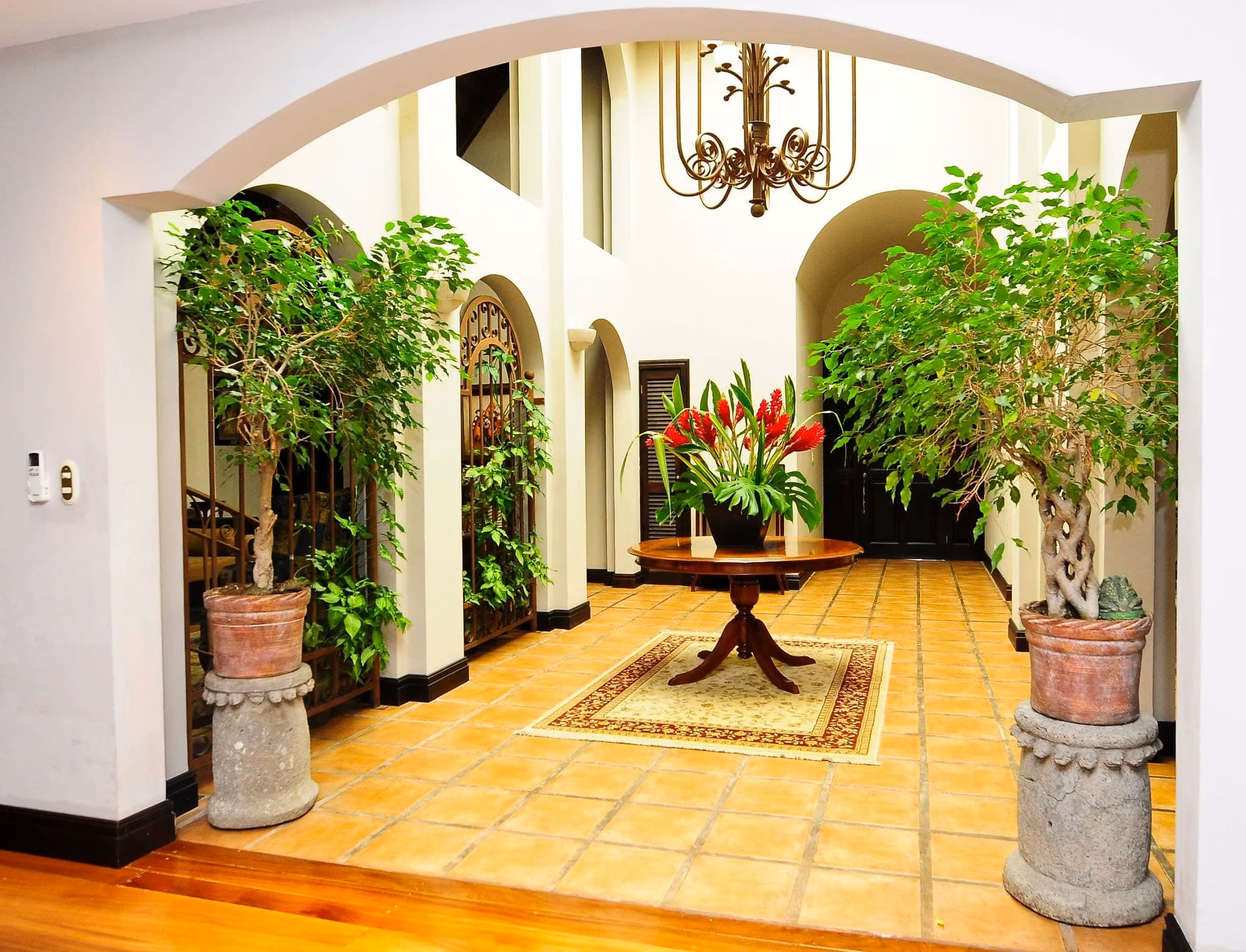 TerraHouse Realtor