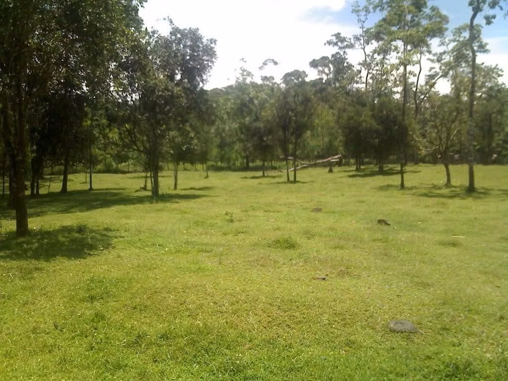 Lizano Realty Costa Rica