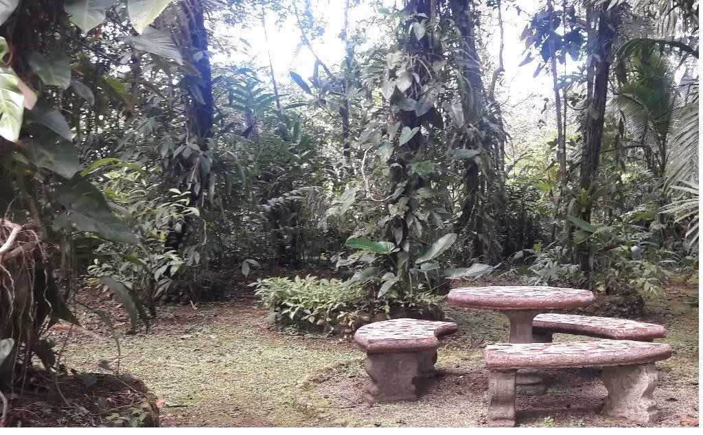 Lizano Realty Costa Rica