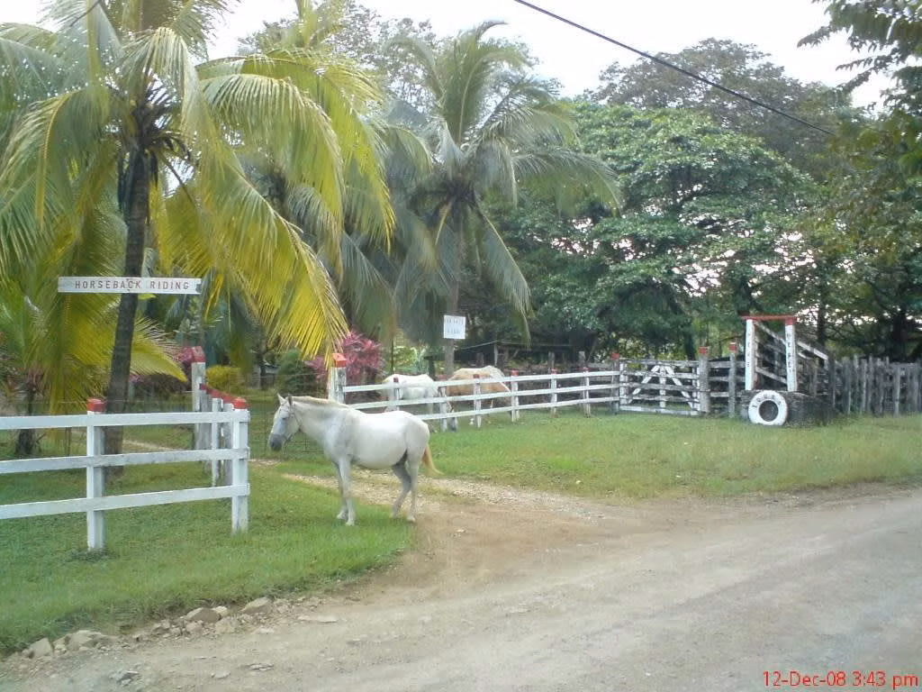 Lizano Realty Costa Rica
