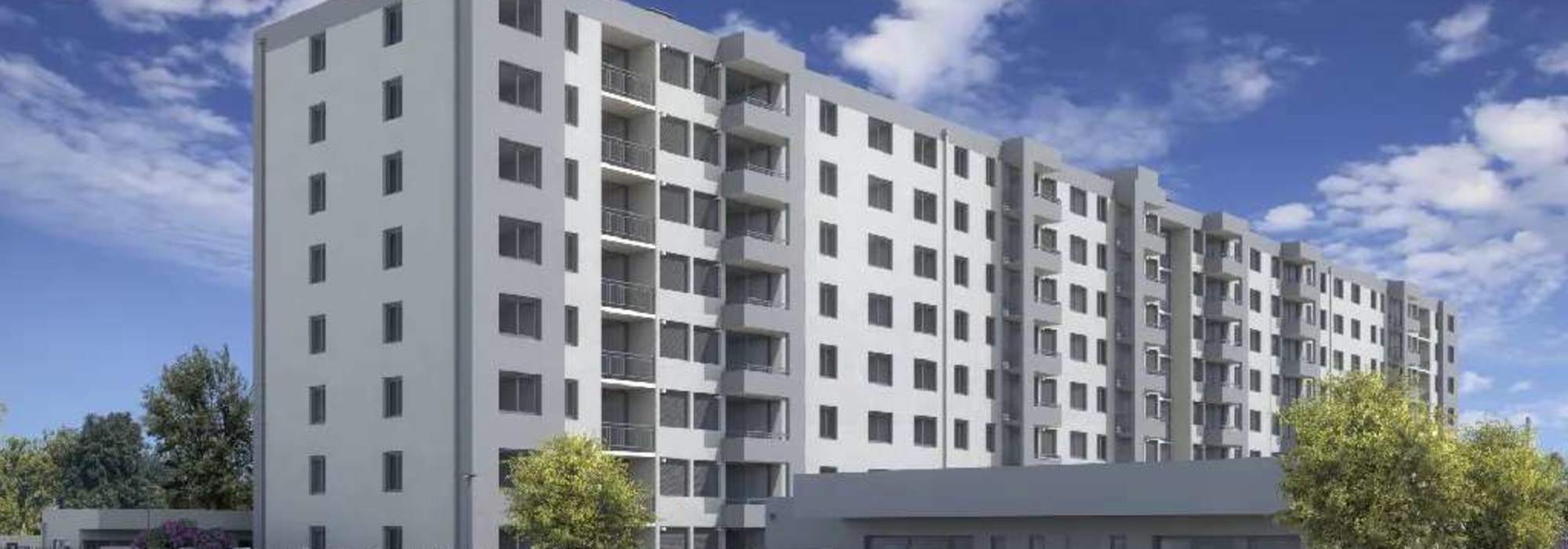 Pintor Gustavo Cabello II