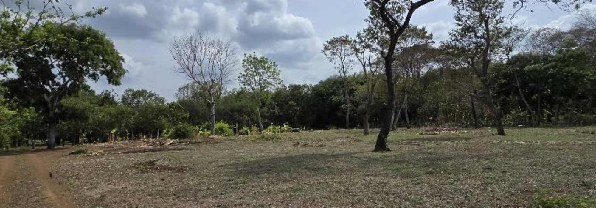 1000VR2 LAND FOR SALE JUST 450MTS FROM THE ROAD