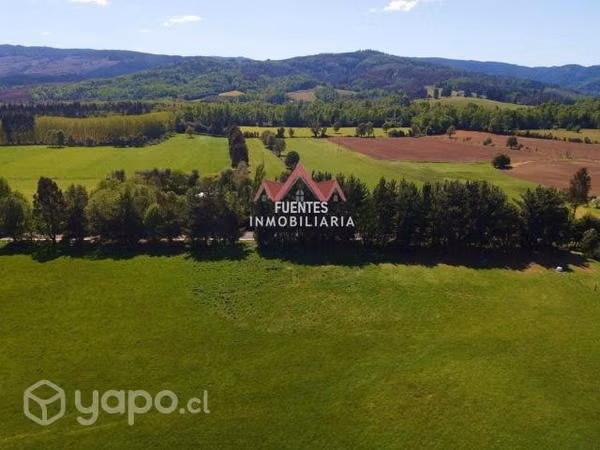 Vendemos parcela de 10.000 m2 en Reumen