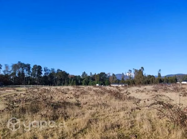 Parcelas vista volcán en Villarrica AHORA CON CREDITO DIRECTO
