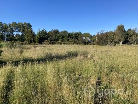 Se vende terreno 1 hectárea braunau