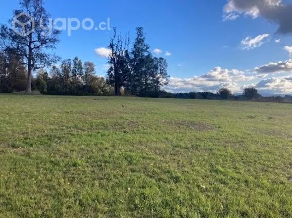 Vendo una hectárea camino a Futrono por ruta T 625