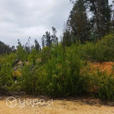 En camino La Pólvora entre las dos rotondas