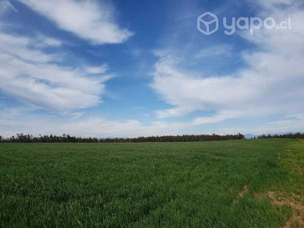 Parcelas de Agrado en Parral