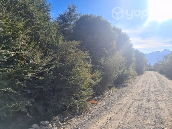 Vende parcela en sector rio alvarez comuna aysen