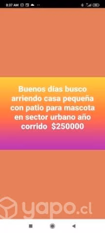 Busco arriendo en ancud ,dalcahue ,castro urbano