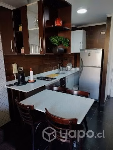 Arriendo mínimo 2 noches departamento completo