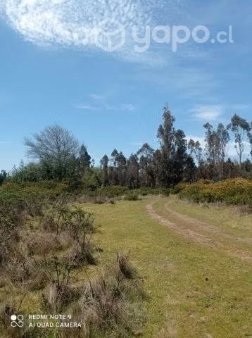 Hermoso terreno a orillas de Río (sector Allipen)