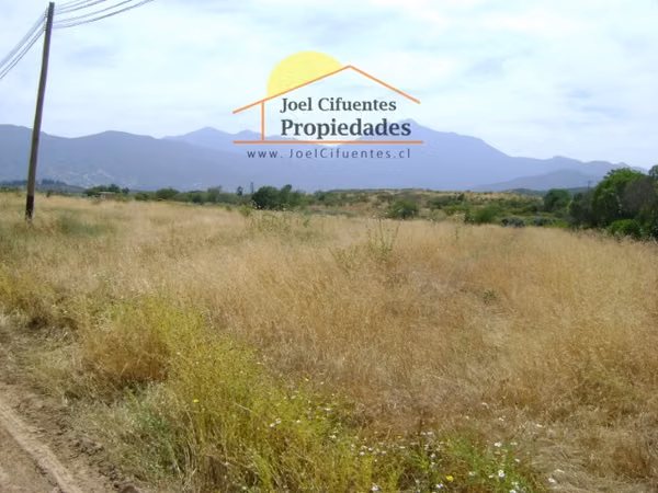 2 parcelas de 5.000 mts2 c/u Lliu Lliu. Cod-2301