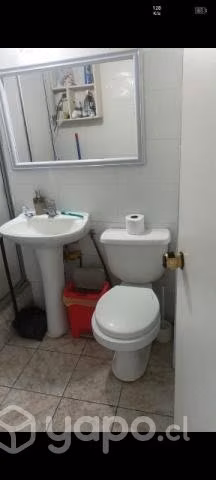 Arriendo departamento en viña