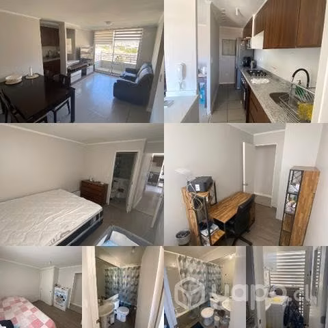 Arriendo Dpto La Florida