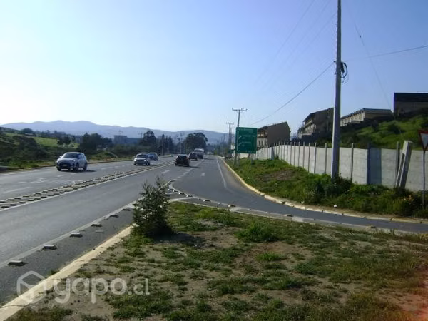 Terreno de 9397 mts2. Marga Marga Cod-2233