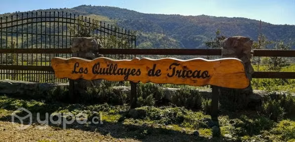 Parcela 5000mt2 Urbanizada en Curicó