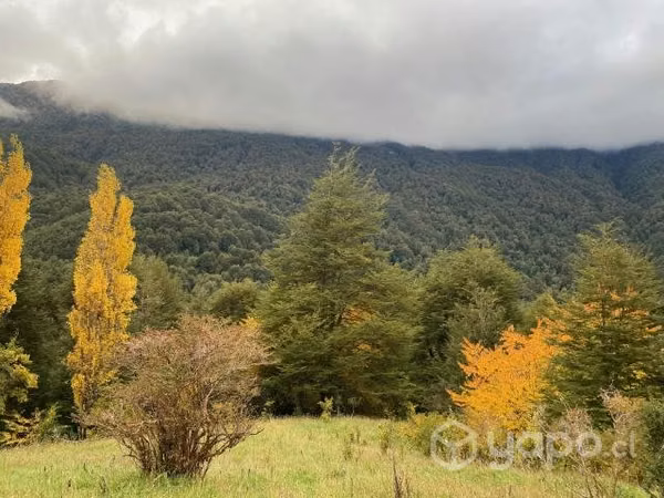 Se vende terreno en patagonia chilena región de ay