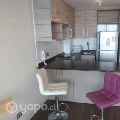 Departamento santiago centro