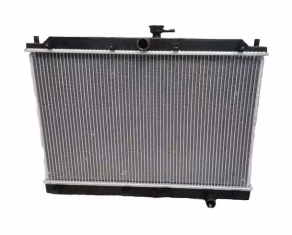 Radiador baic plus