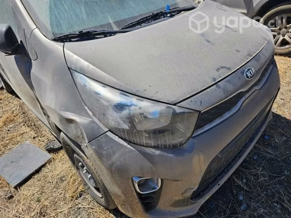 Optico kia morning 2019