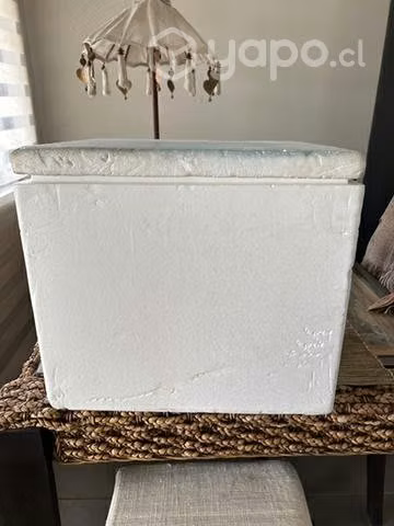 Cooler caja térmica plumavit