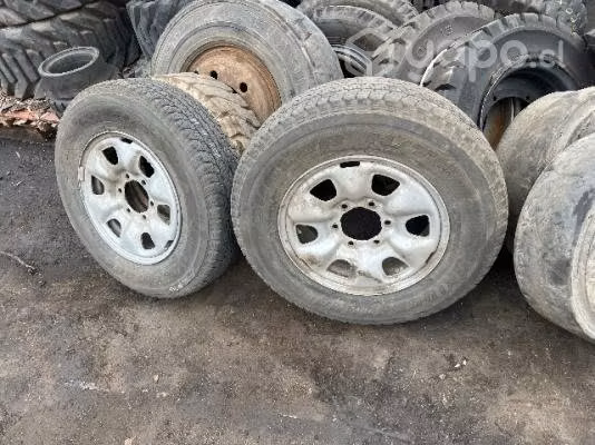 Neumático