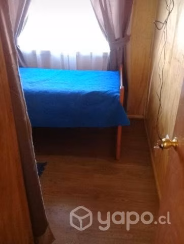 Habitación individual varón profesional