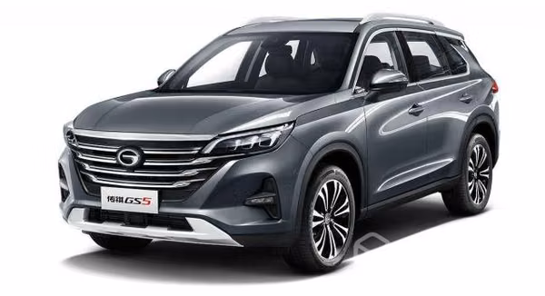 Gac filtro aire gs5