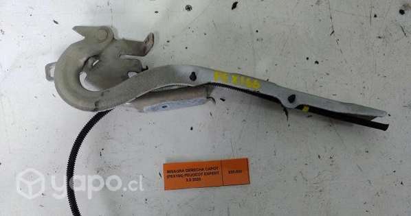 Bisagra Derecha Capot (PEX166) Peugeot Expert 2.0