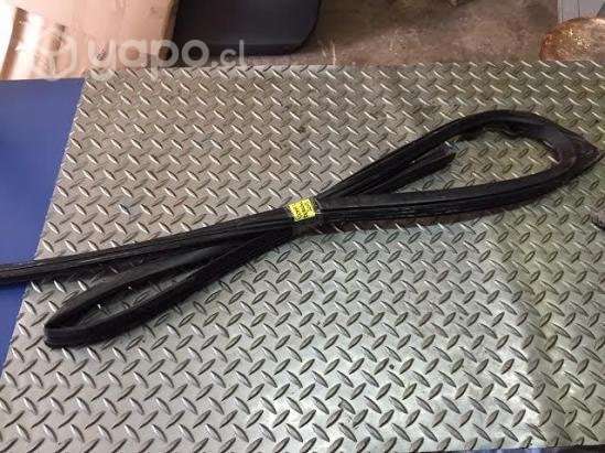 Goma vidrio puerta del derecha Ford Ranger 2015