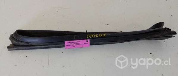 Goma Vidrio Puerta Trasera Izquierda (FR3061) Ford