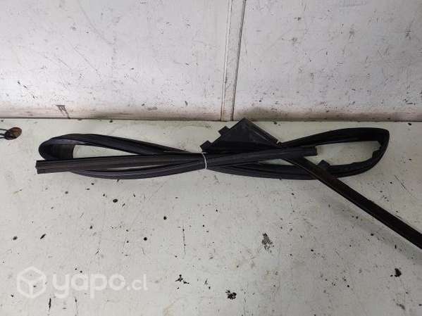 Goma Moldura Vidrio Puerta Delantera Derecha (PEX0