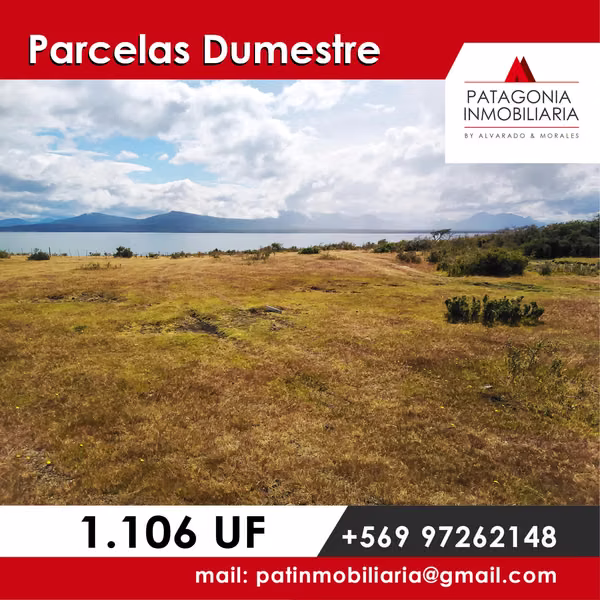 PARCELAS EN DUMESTRE NATALES