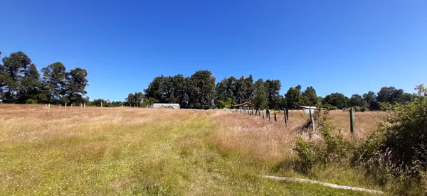 A 14 Kmtr. De Panguipulli Camino a los Tallos Altos