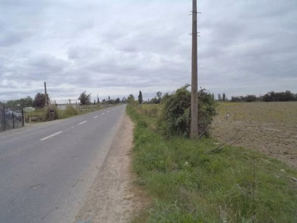 HUIMEO, LONGAVÍ